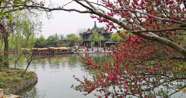 四月團(tuán)建 | 楊柳春煙醉江南