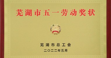 喜報！我們又獲獎了！